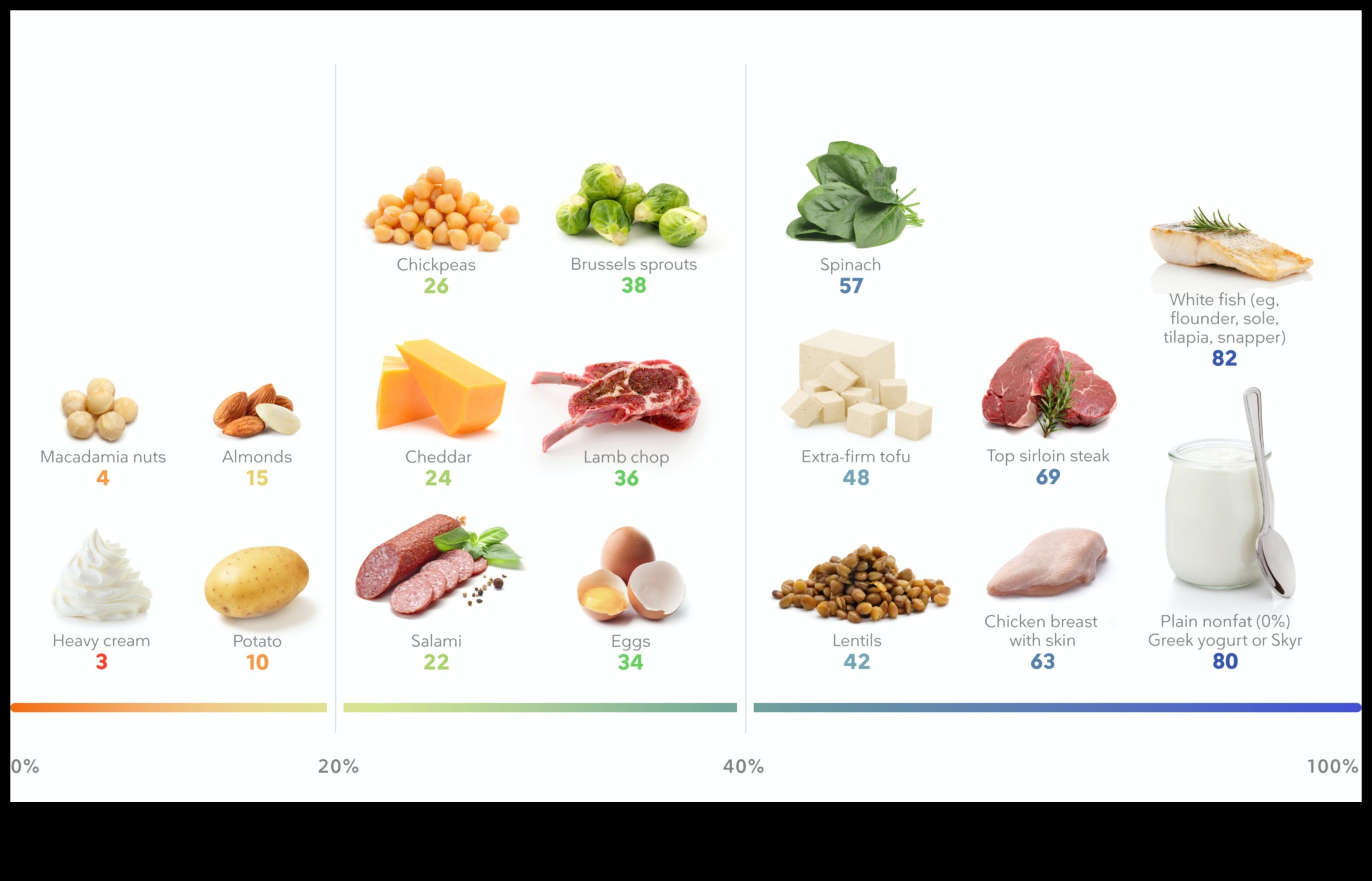 Doyurucu ve Güçlendirici: Protein Dolu Kreasyonlarımızın Tadını Çıkarın